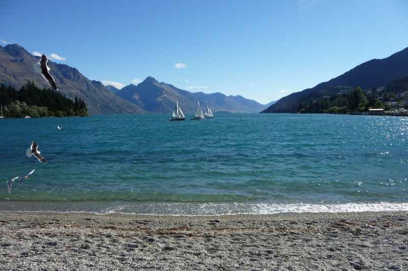 Nieuw-Zeeland 2011 - 1645